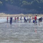 A popular foraging beach in Wales