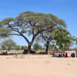 Focus group discussions for the ConHuB project in Tanzania