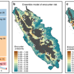 Addressing human-tiger conflict using socio-ecological information on tolerance and risk.